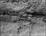 Detailed View of Soil and Dirt, Tampa, Florida, B by George Skip Gandy IV