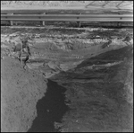 Detailed View of Soil and Dirt, Tampa, Florida, F by George Skip Gandy IV