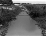 A Stream Flows Under a Fence in an Agricultural Area, Tampa, Florida by George Skip Gandy IV