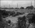 Land Cleared in Anticipation of Construction, Tampa, Florida by George Skip Gandy IV