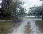 Intersection of Three Driveways in Tampa, Florida, C