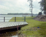 Base of Dock on Pond in Tampa, Florida, A by George Skip Gandy IV