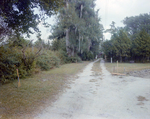 Intersection of Two Dirt Driveways in Tampa, Florida, A