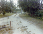 Intersection of Two Dirt Driveways in Tampa, Florida, B