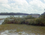 Faded Shed Sits on Edge of Lake in Tampa, Florida, A