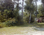 Rural Home with Red Boat in Yard in Tampa, Florida