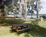 Picnic Bench Overlooks Lake in Tampa, Florida