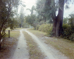 Intersection of Two Dirt Driveways in Tampa, Florida, C