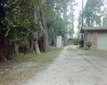 Dirt Driveway Trails Behind Home in Tampa, Florida