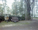 Woodchipper and Trailer Parked by Fence in Tampa, Florida