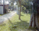 Three People Observe Rural Home Exterior in Tampa, Florida