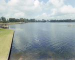 Lake with Residential Boat Docks in Tampa, Florida, B