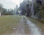 Dirt Driveway Leads to Lake in Tampa, Florida