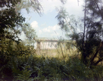 Faded Shed Sits on Edge of Lake in Tampa, Florida, B