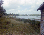 Lake with Residential Boat Docks in Tampa, Florida, C