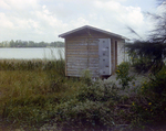 Faded Shed Sits on Edge of Lake in Tampa, Florida, C