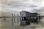 Pelicans Sit Beside Stilted Buildings on Water in Tampa, Florida, A by George Skip Gandy IV