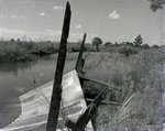 Ruined Structure by a Marsh in Florida by George Skip Gandy IV