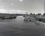 Wetland Area in Florida, A by George Skip Gandy IV