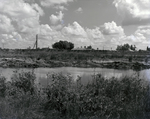 Wetland Area in Florida, F by George Skip Gandy IV