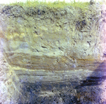 Sediment Levels on Side of Trench, A by George Skip Gandy IV