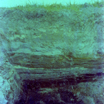 Sediment Levels on Side of Trench, C by George Skip Gandy IV