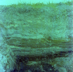 Sediment Levels on Side of Trench, D by George Skip Gandy IV