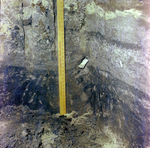 Close Up of Yardstick in Trench by George Skip Gandy IV