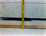 Close Up of Yardsticks against Crack in Foundation, A by George Skip Gandy IV