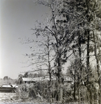 Trees with Spanish Moss, A by George Skip Gandy IV