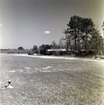 Empty Land across from House, A by George Skip Gandy IV