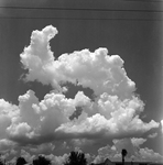 Large Clouds Over Trees, B by George Skip Gandy IV