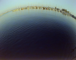 Fish-Eye View of Sailboats Docked on Tampa Bay, Florida, D