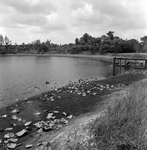 Pond with Vegetation and Dock near Tampa, Florida, A