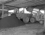 Loader Filling Trailer with Compost at Dairy Organic Compost Company, Tampa, Florida by George Skip Gandy IV