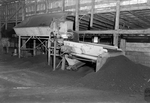 Compost Screening Equipment at Dairy Organic Compost Company, Tampa, Florida by George Skip Gandy IV