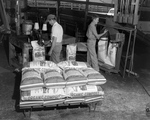 Bagging Organic Compost at Dairy Organic Compost Company, Tampa, Florida by George Skip Gandy IV