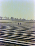 Workers and Equipment in Agricultural Field, Y by George Skip Gandy IV