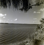 Bradenton Bridge Site, J.E. Greiner Company, Consulting Engineering Firm, C by George Skip Gandy IV