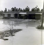 C.C. Hinson Property for Pat Whitaker, H by George Skip Gandy IV