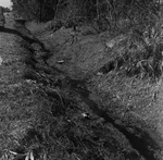 Florida Wetland Landscape, B by George Skip Gandy IV