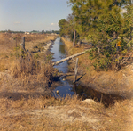 Roadside Drainage System, D by George Skip Gandy IV