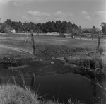 Rural Farmstead with Drainage Ditch And Livestock, D by George Skip Gandy IV