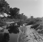 Fenced Area with Water Outside the Perimeter, L by George Skip Gandy IV