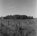 Rural Farmstead with Drainage Ditch, A by George Skip Gandy IV
