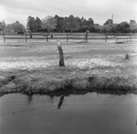 Rural Farmstead with Drainage Ditch And Livestock, F by George Skip Gandy IV