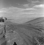 Manatee River Dam Site, Parrish, S by George Skip Gandy IV