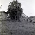 Euclid and Seaboard Coast Line Railroad Site for Miller Bros. Crane Service, B by George Skip Gandy IV