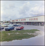 Eckerd Drugs, Winn-Dixie, and Sears at Bartow Mall, Bartow, Florida, A by Skip Gandy