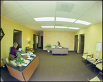 Two Women Working in an Office, Bay Plaza, Tampa, Florida, B